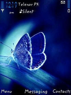 Blue Buterfly -  1