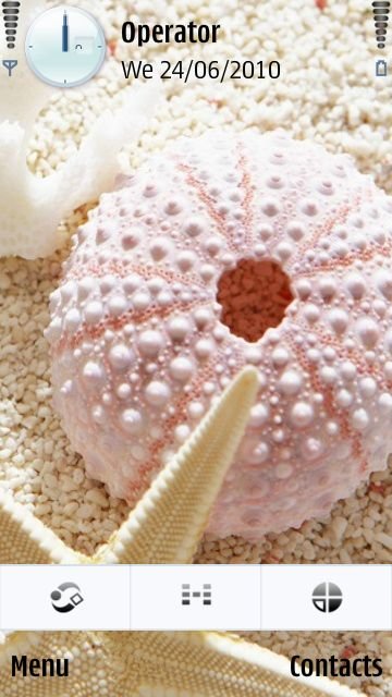 Seashell Pink -  1