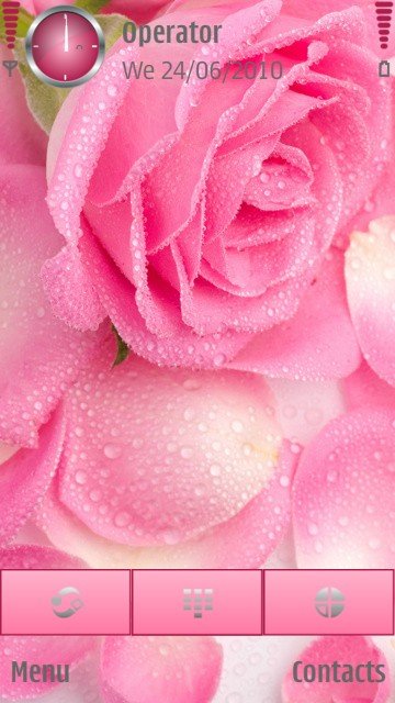 Pink Rose -  1