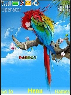 Parrot -  1