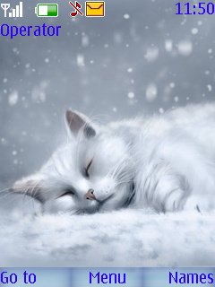 Snow Cat -  1