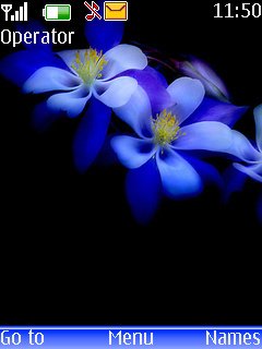 Blue Flower -  1