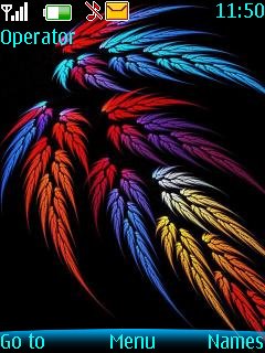 Colorful Feathers -  1