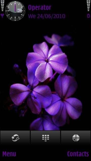 Purple Flower -  1