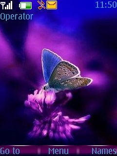 Purple Butterflies -  1