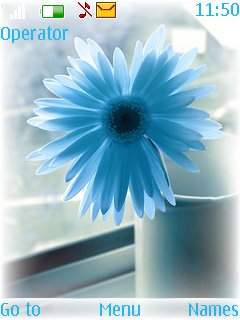 Blue Flower -  1