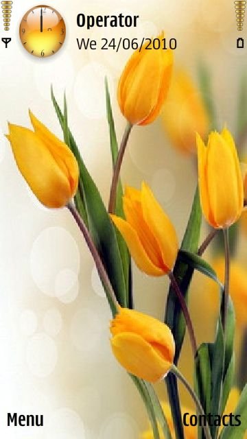 Yellow Tulip -  1