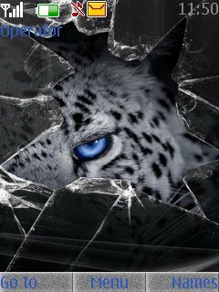 Blue Eyed Leopard -  1