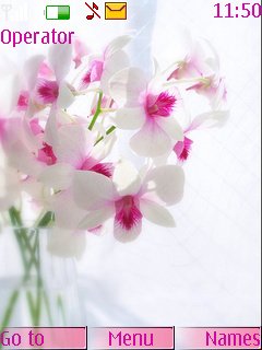 Pink White Flowers -  1