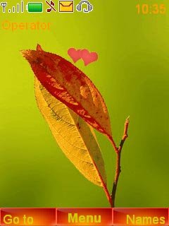 Leaf Love -  1