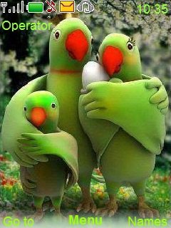 Parrot Family -  1