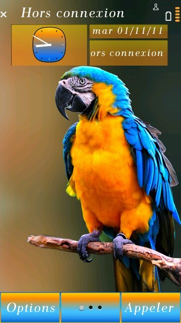 Colourful Parrot -  1