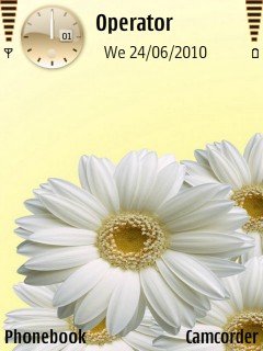 White Flowers -  1