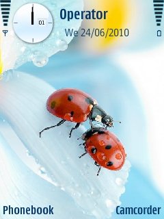 Ladybug Love -  1