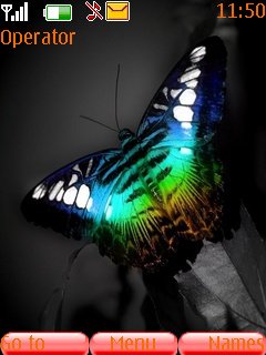 Butterfly 3d -  1