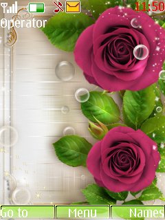 Lovely Rosess -  1
