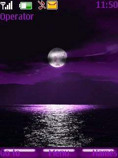 Purple Night -  1