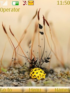 Yellow Ladybug -  1