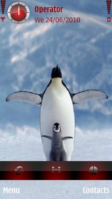 Funny Penguins -  1
