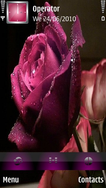 Purple Rose -  1