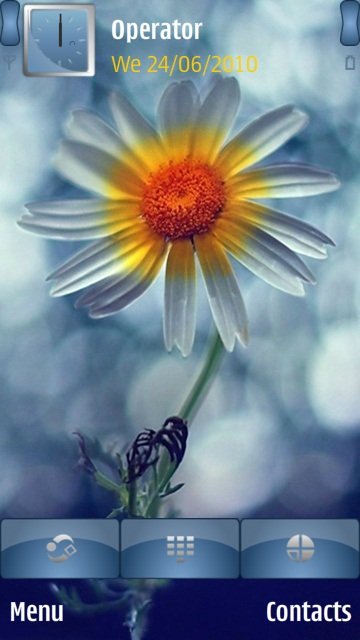 Cute Daisy Flower -  1