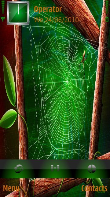 Spiderweb -  1