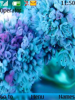 Blue Flower -  1