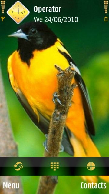 Yellow Bird -  1
