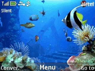 Live Aquarium -  1