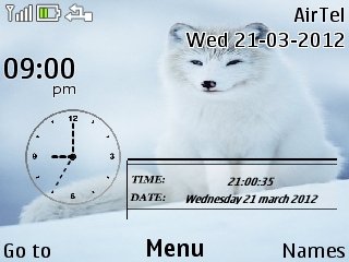 Arctic Fox -  1