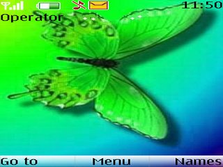 Butterfly Cute -  1