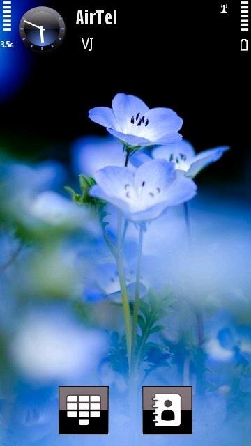 Blue Flower -  1