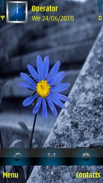 Blue Flower -  1