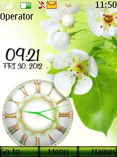 Flower Dual Clock -  1