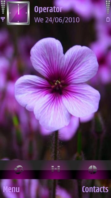 Purple Spring -  1