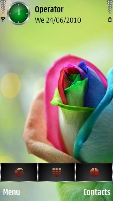 Colourful Rose -  1