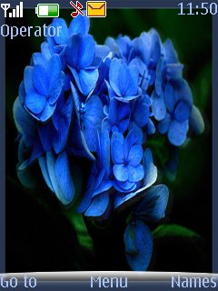 Blue Flower -  1