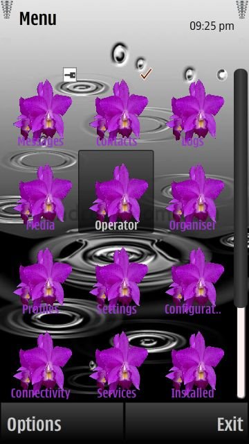 Purple Orchid -  2