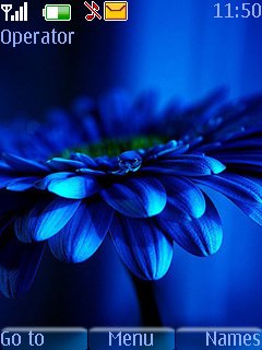 Blue Flower -  1