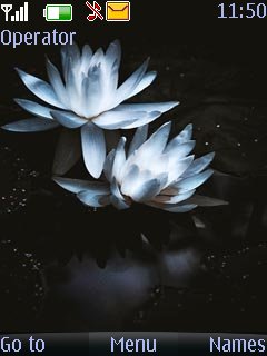 Blue Lotus -  1