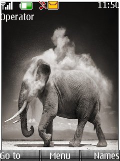Elefant -  1