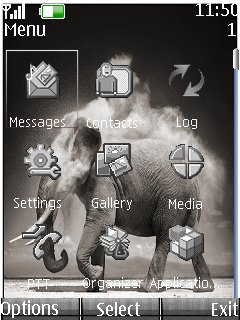 Elefant -  2