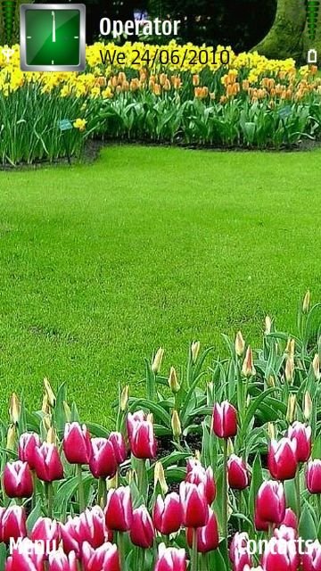 Tulip Garden -  1