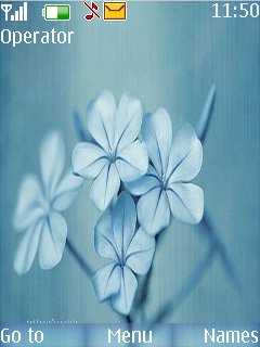 Blue Flower -  1