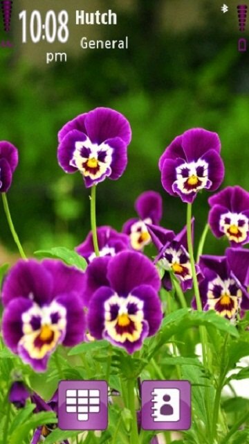 Purple Flowers -  1