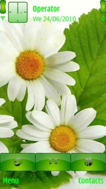 White Flower -  1