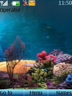 Aquarium View -  1