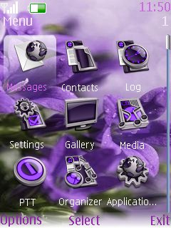 Purple Flowers -  2
