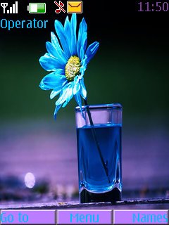Pretty Blue Flower -  1