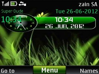 Grass Clock -  1